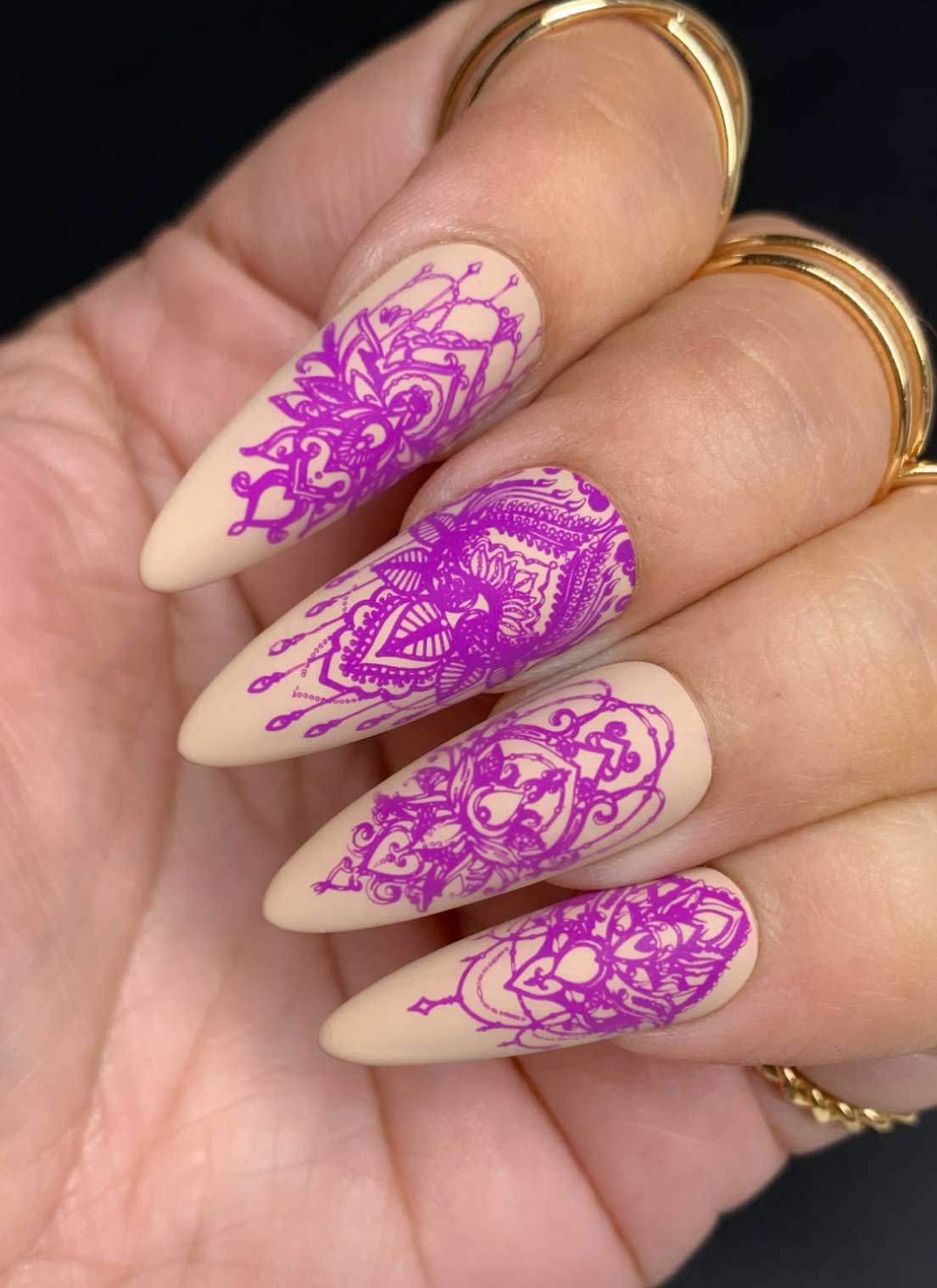 The Ultimate Insatiable Starter Kit