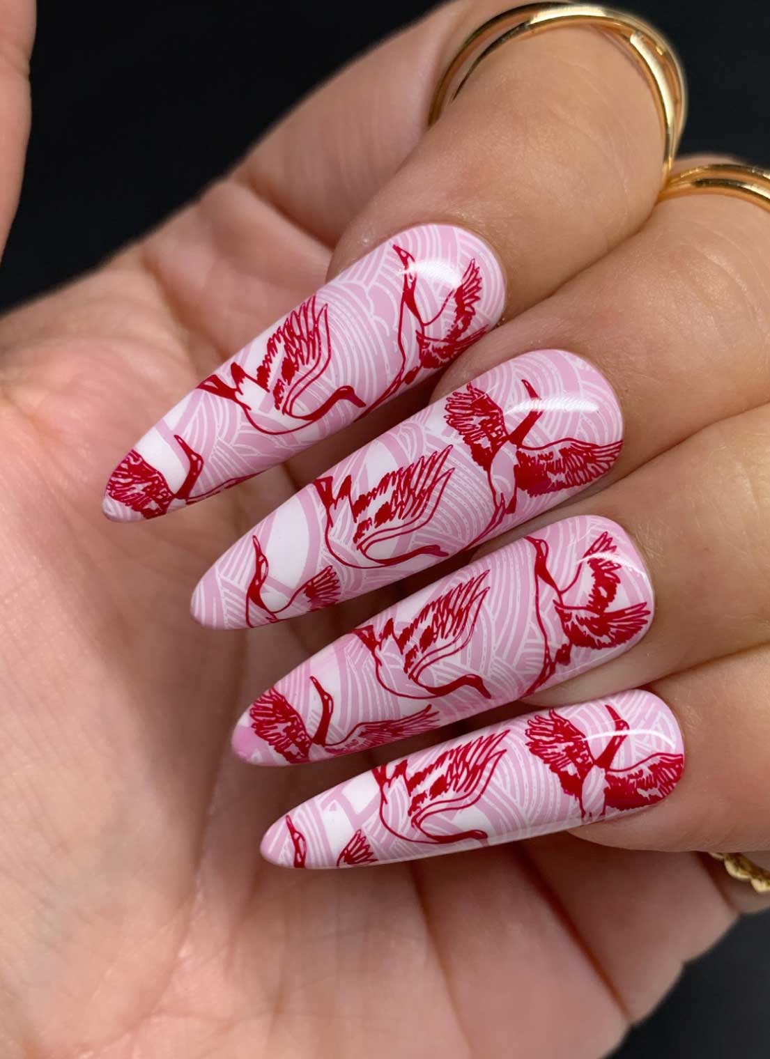 The Ultimate Insatiable Starter Kit