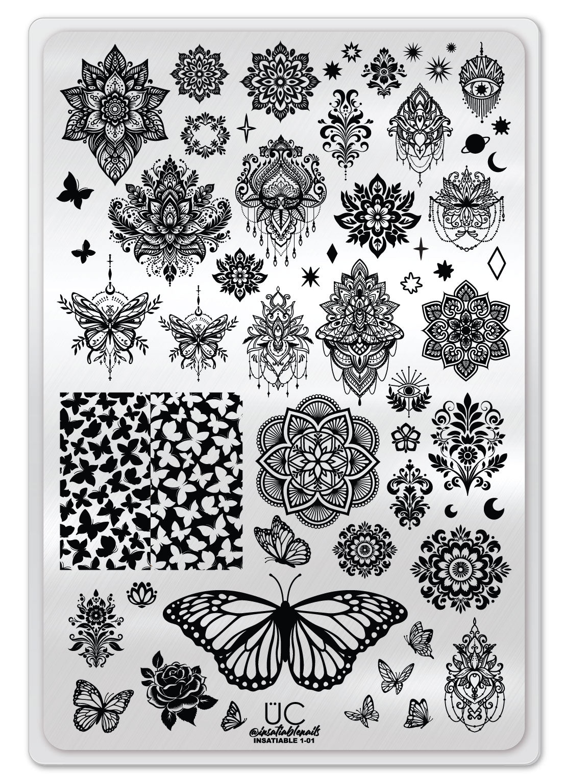 The Ultimate Insatiable Starter Kit