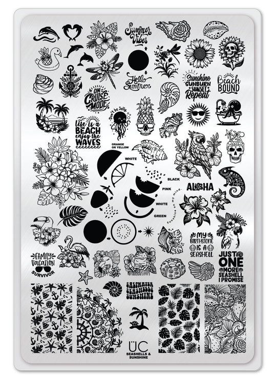 Seashells & Sunshine