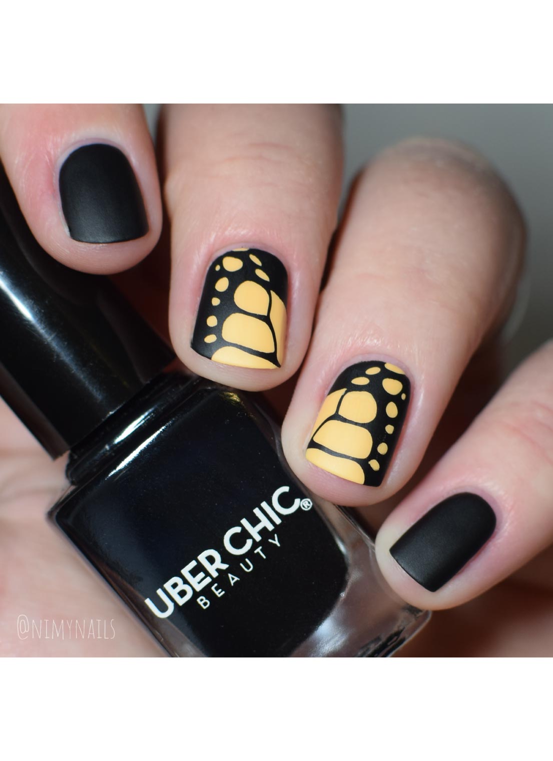 The Ultimate Insatiable Starter Kit