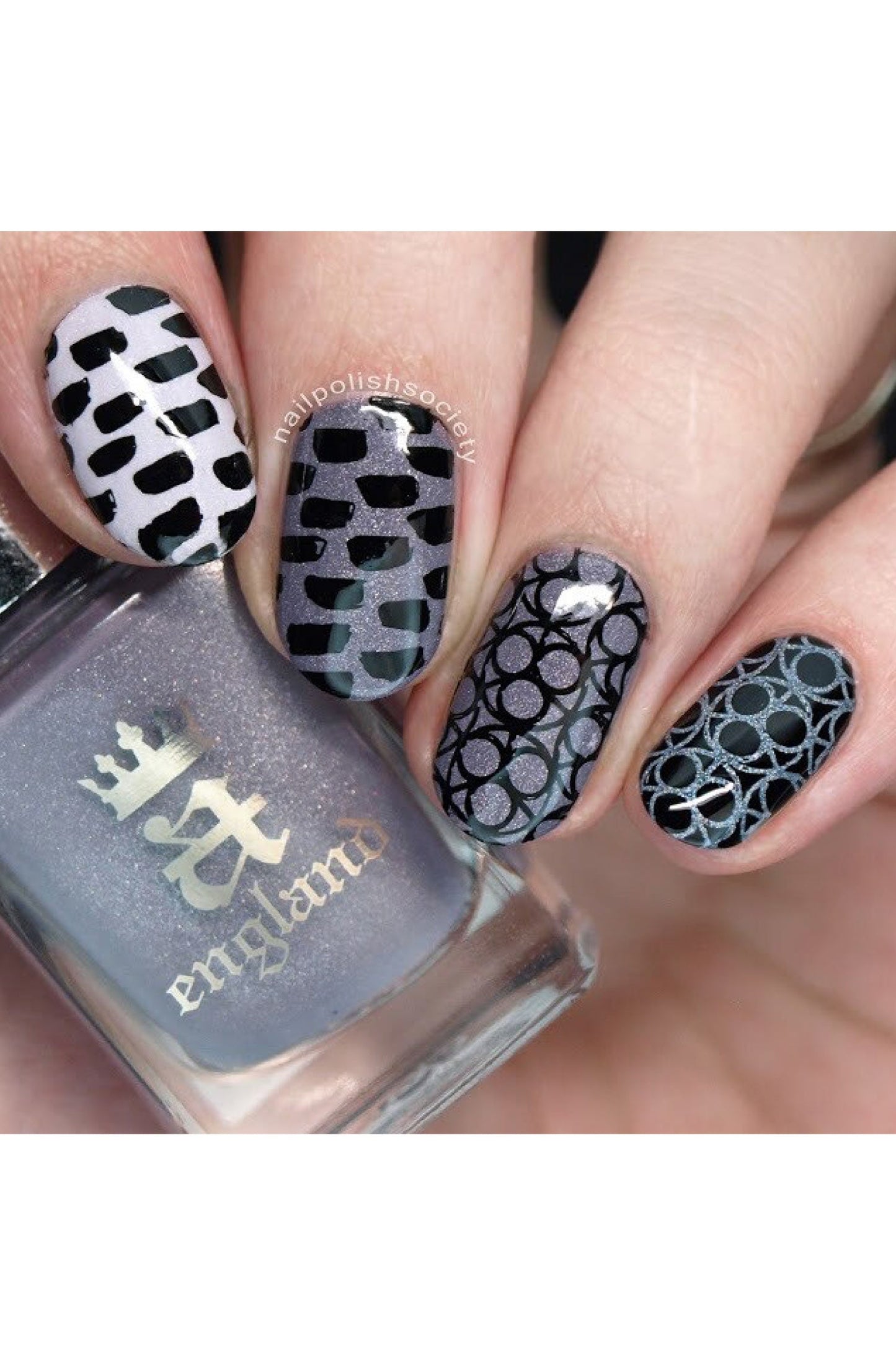 Collection 15