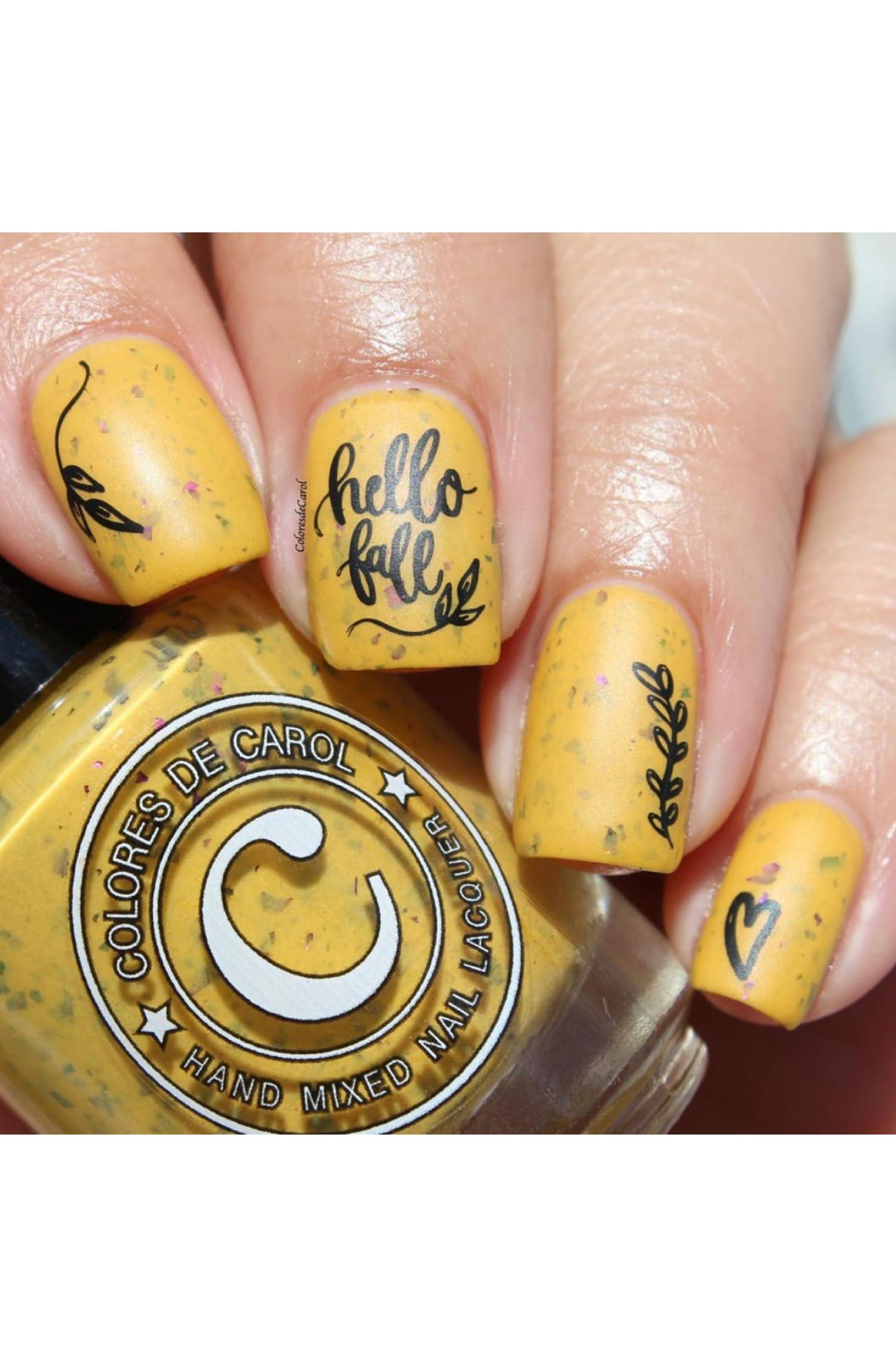 Hello Fall & Pumpkin Spice