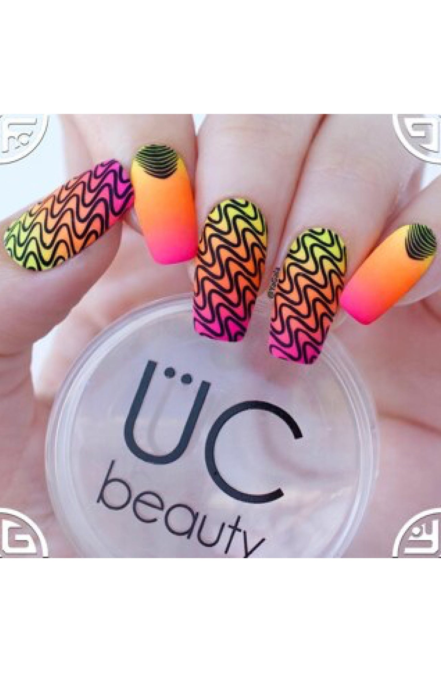 Got Chevron-02
