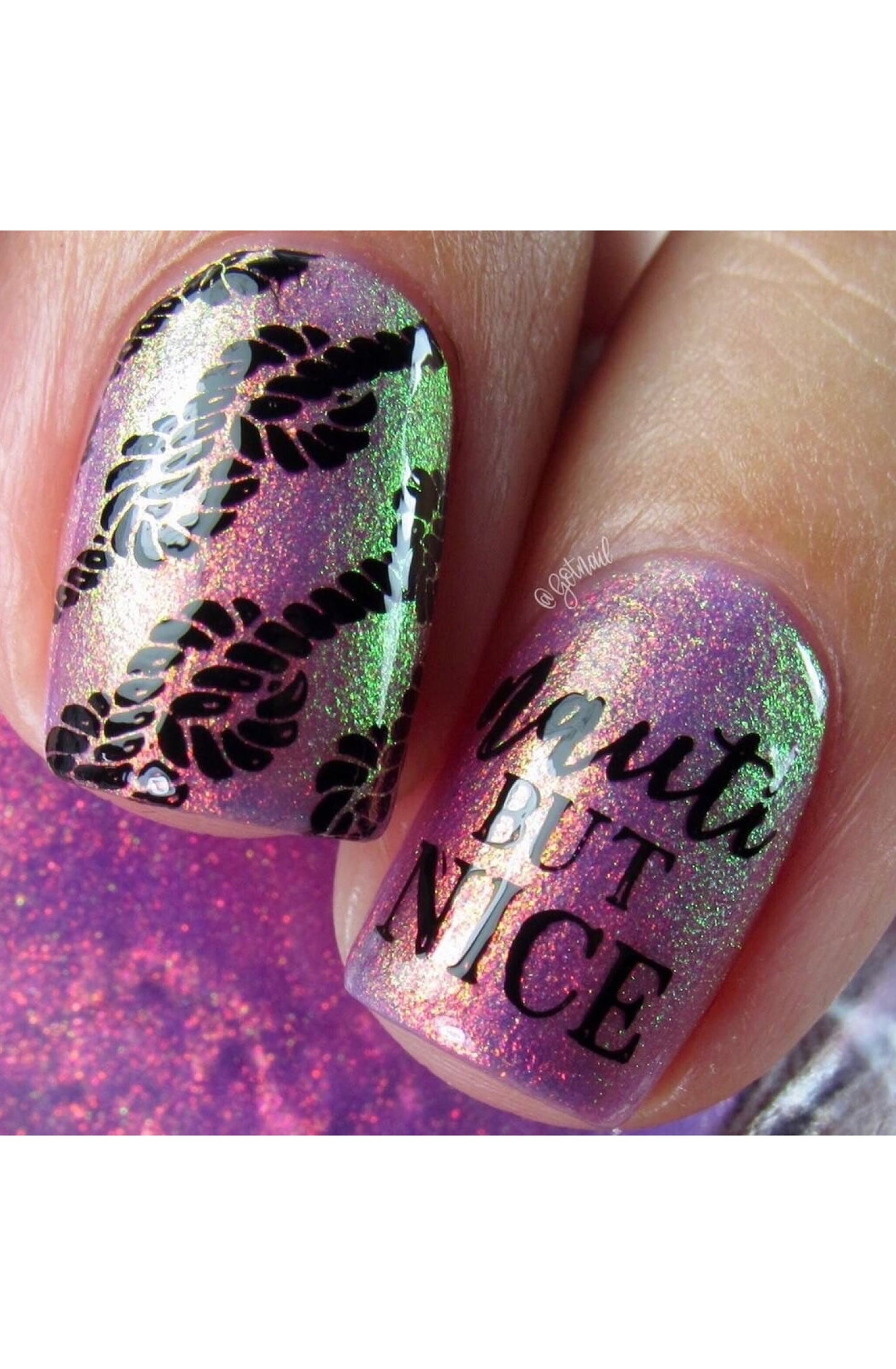 Nauti But Nice