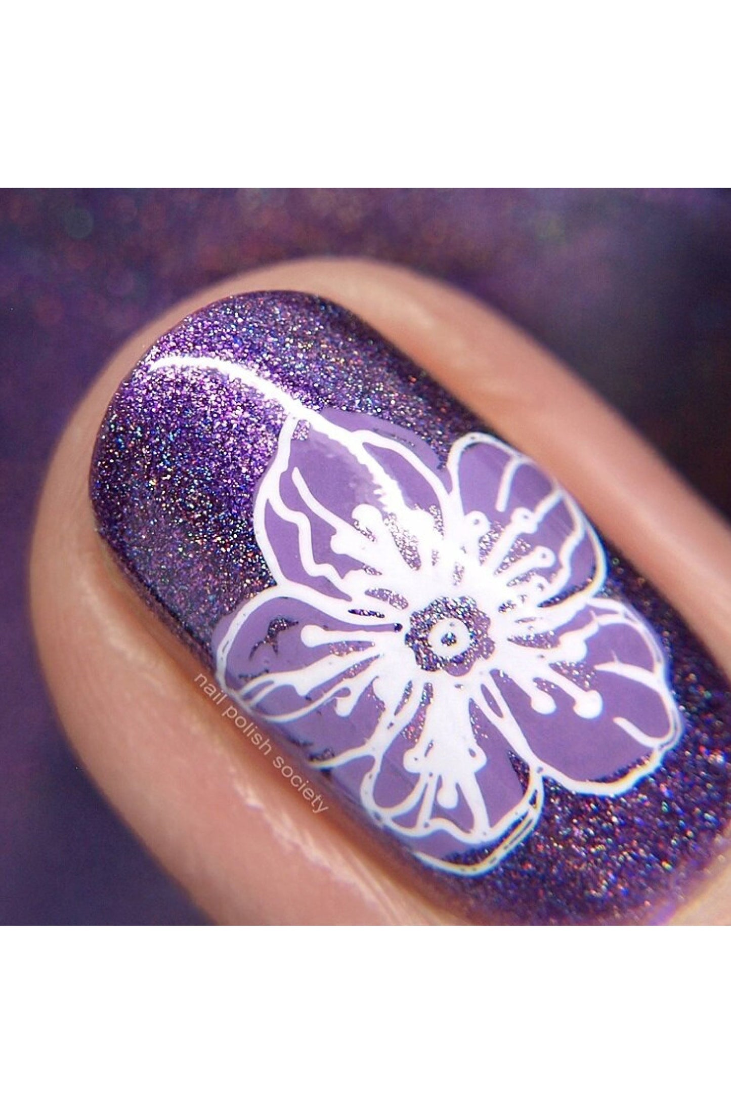 Collection 28