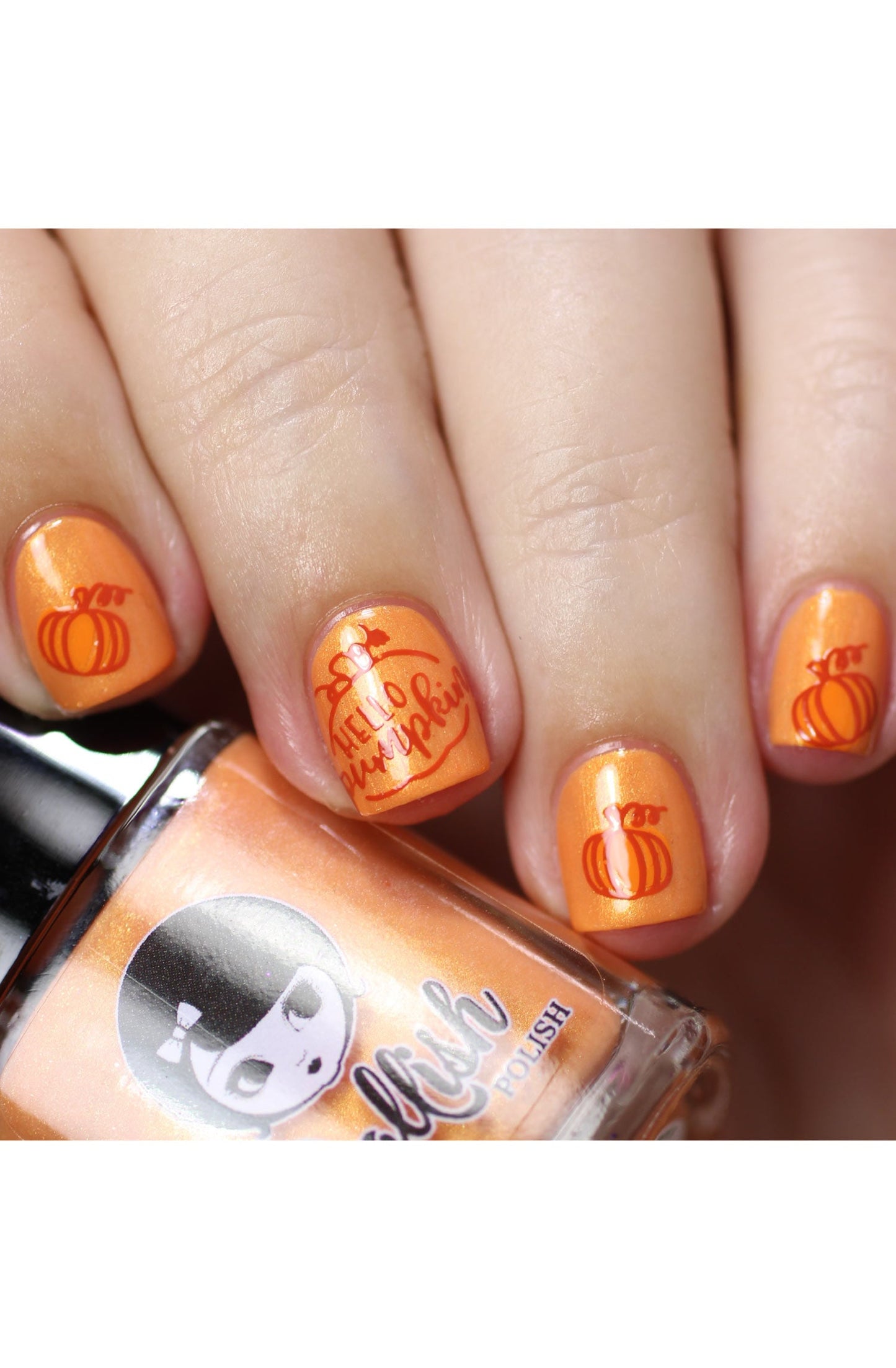 Hello Fall & Pumpkin Spice