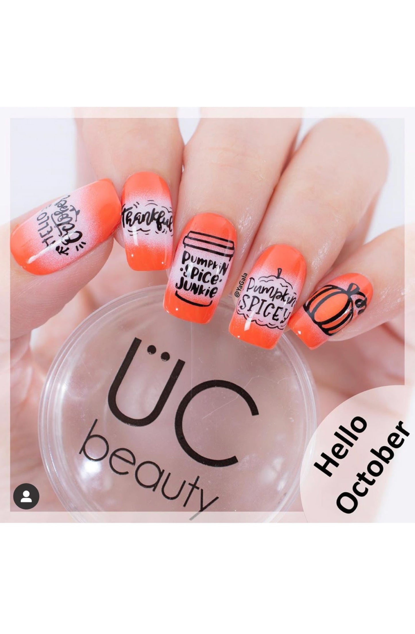 Hello Fall & Pumpkin Spice