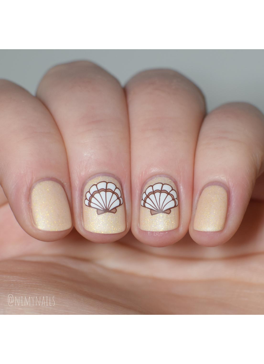 Seashells Aplenty