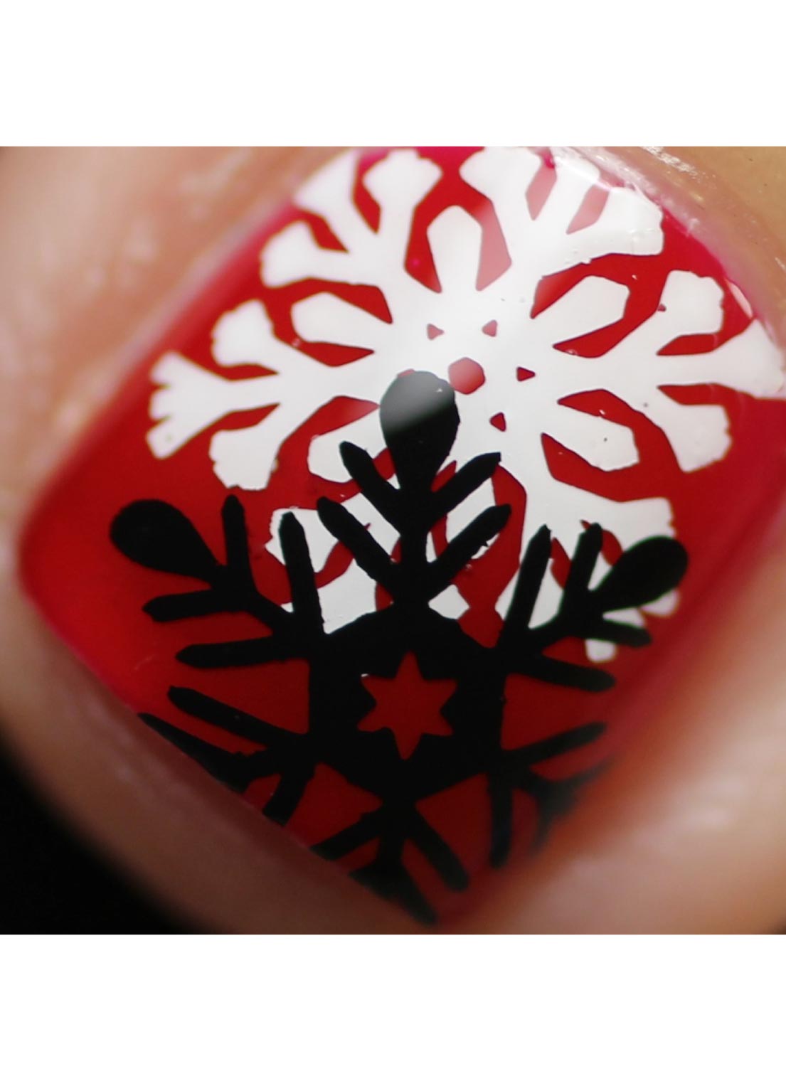 Oh SO Cozy & Chic Bundle!