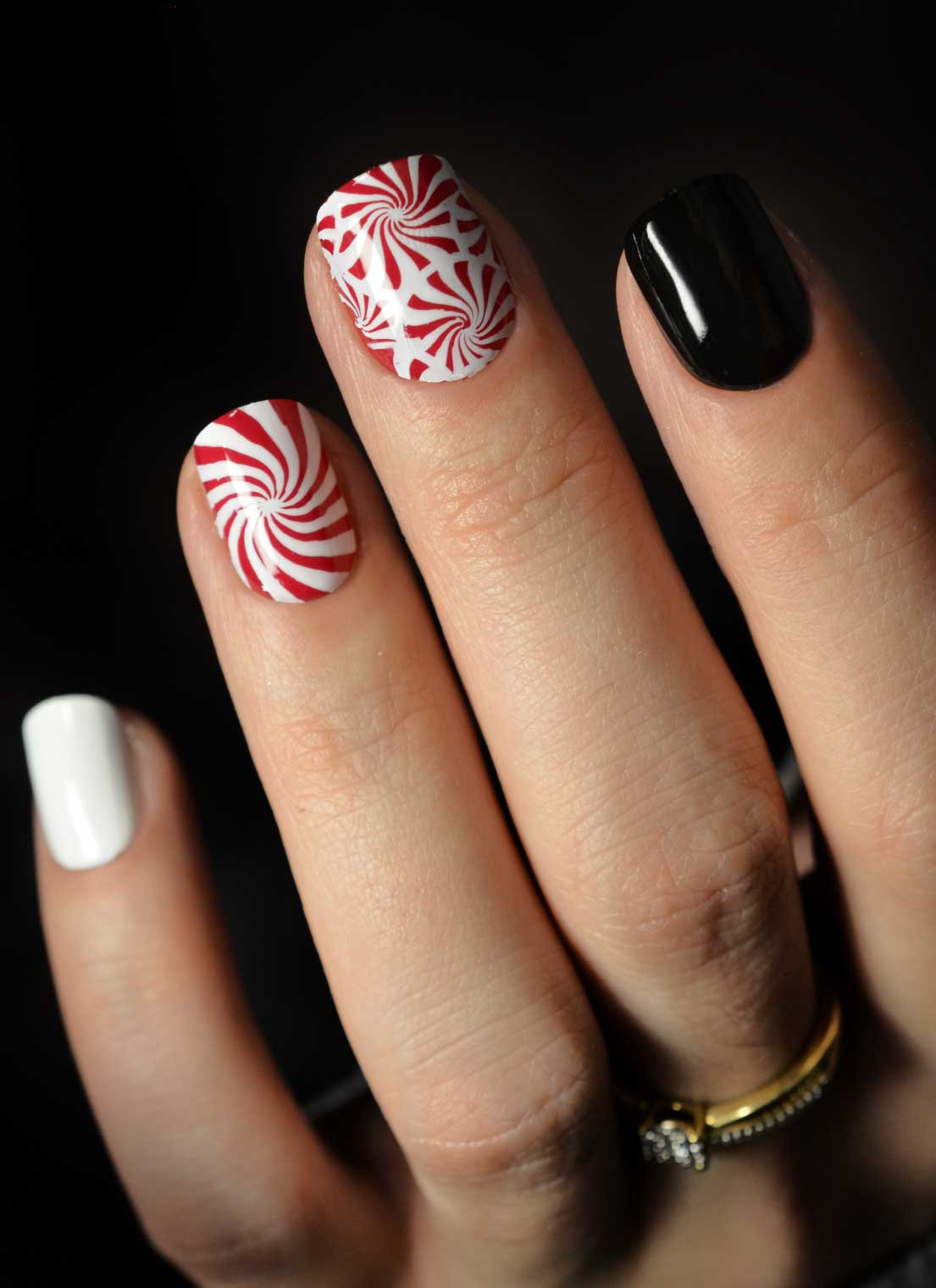 Essential Holiday Bundle!