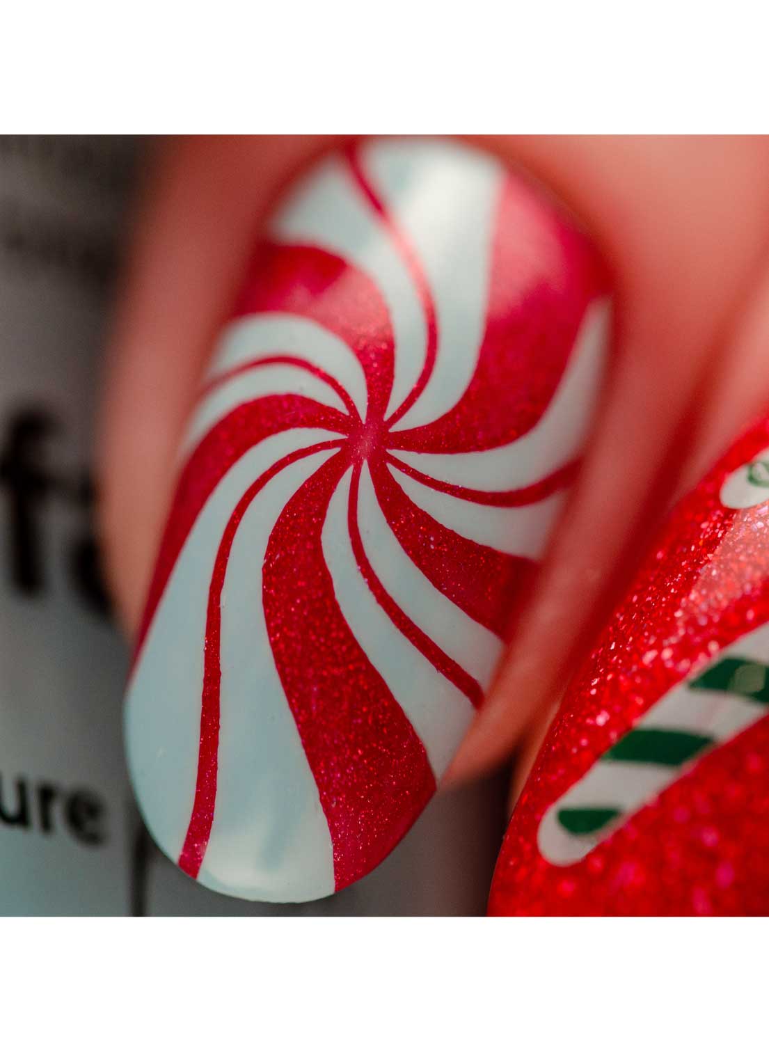 Essential Holiday Bundle!