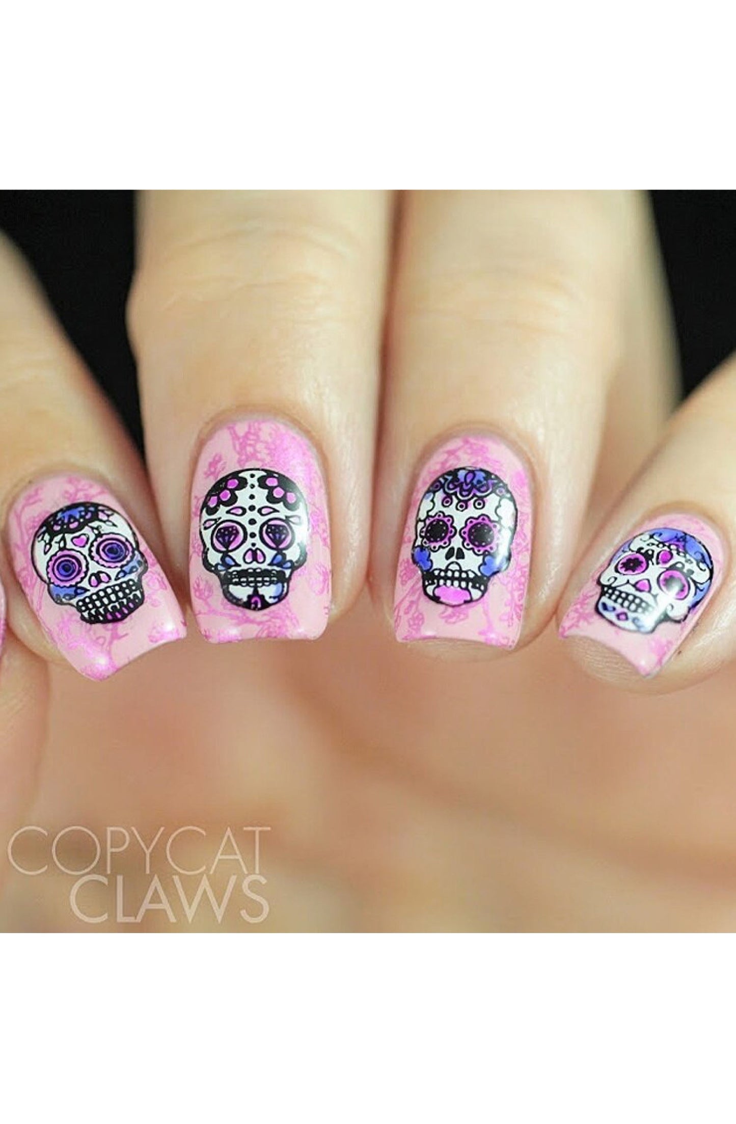 Sugar Skulls-01