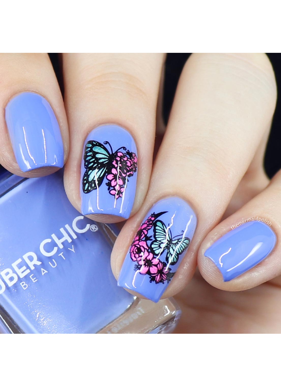 Butterflies