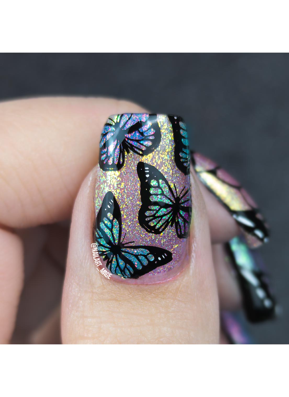 Butterflies