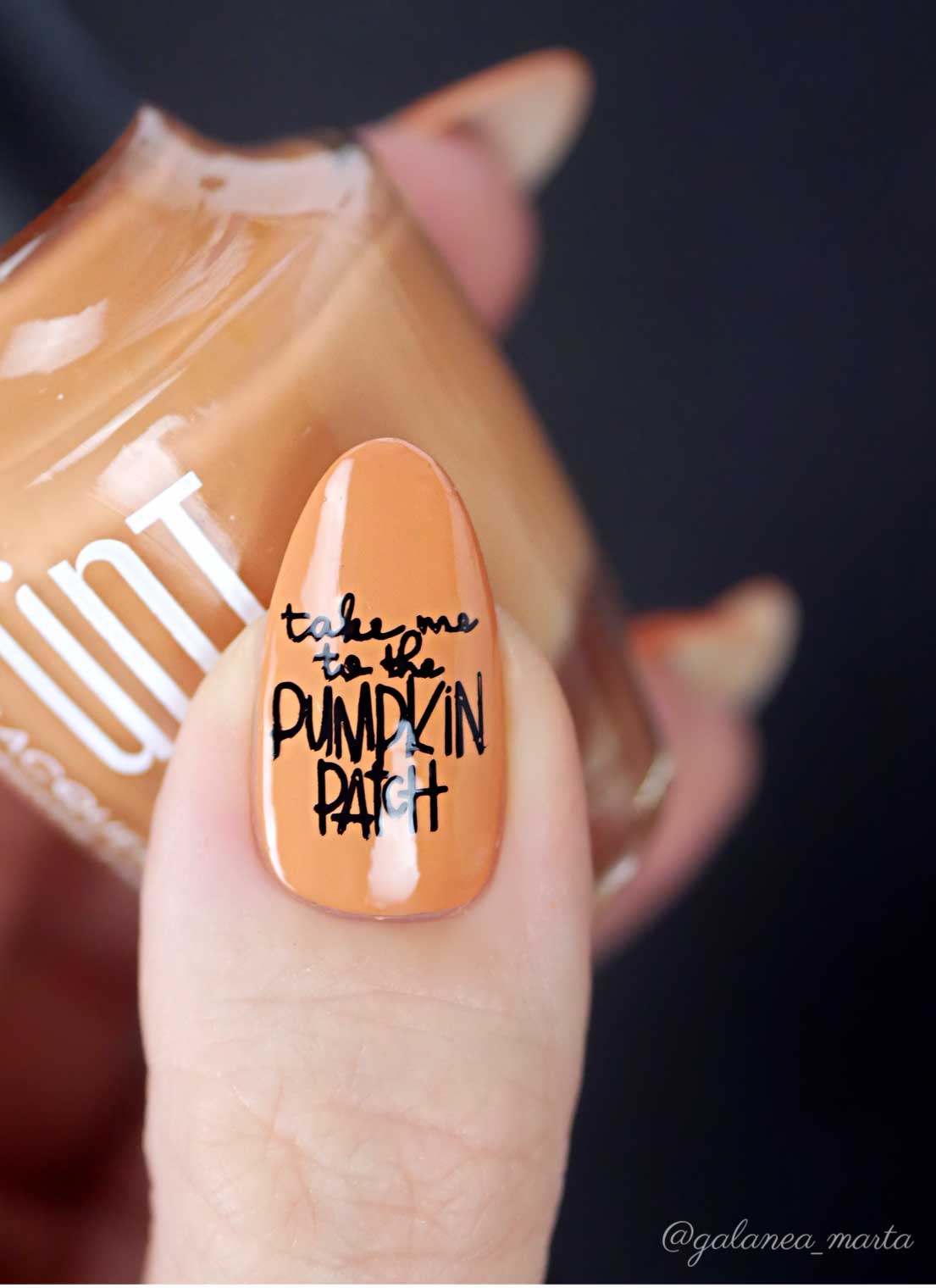 Hello Fall & Pumpkin Spice-02