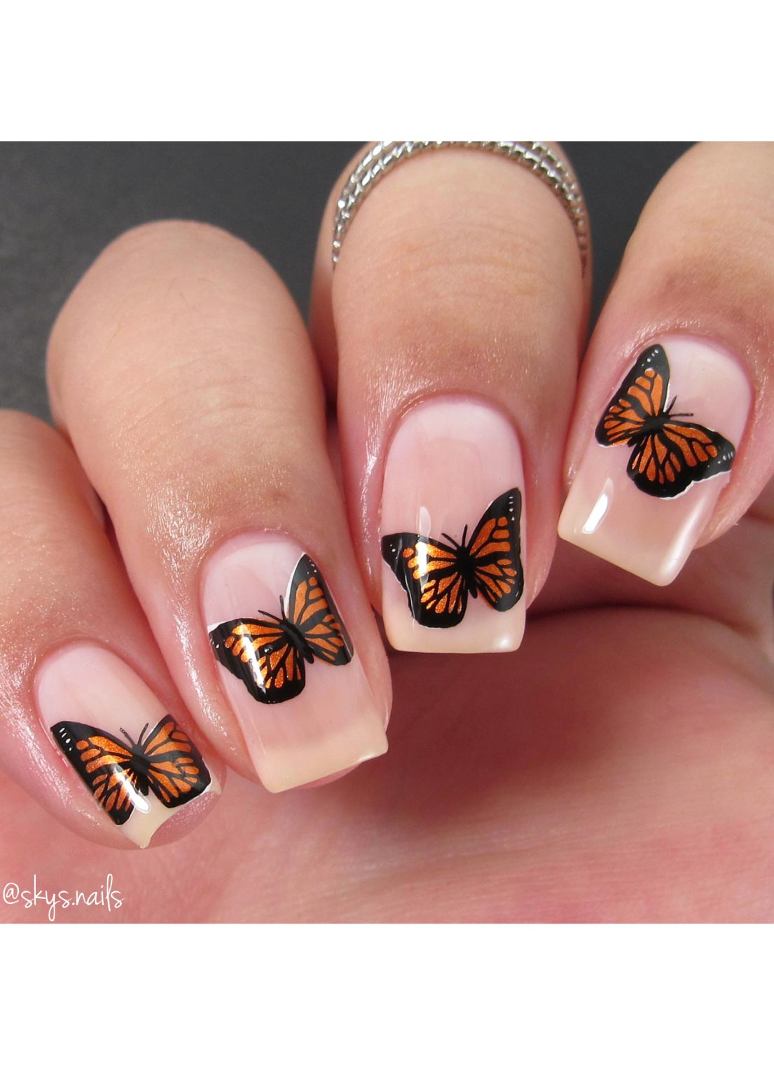 Butterflies